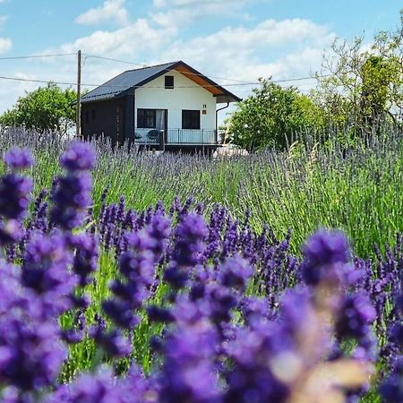 Vacation Home - Nest Kalnik ภายนอก รูปภาพ