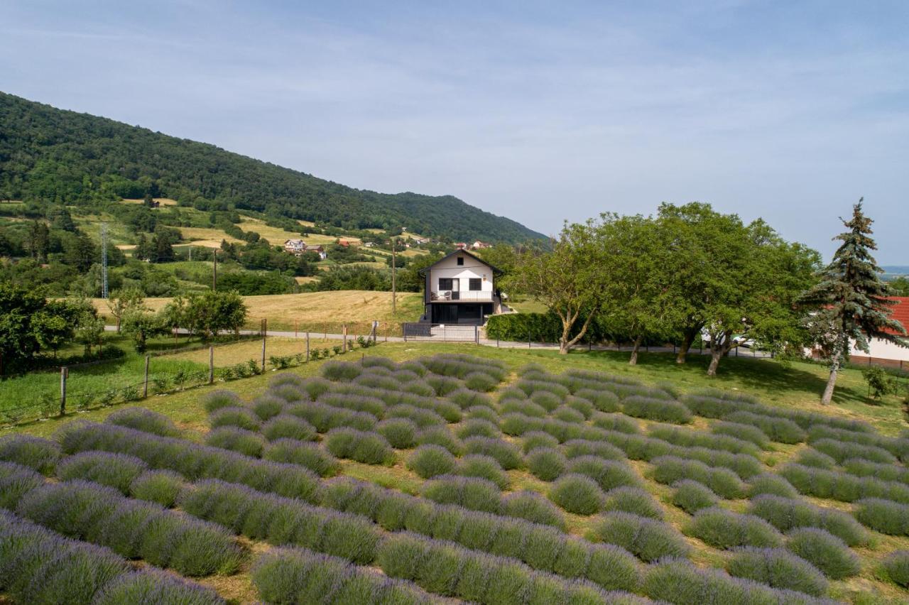 Vacation Home - Nest Kalnik ภายนอก รูปภาพ