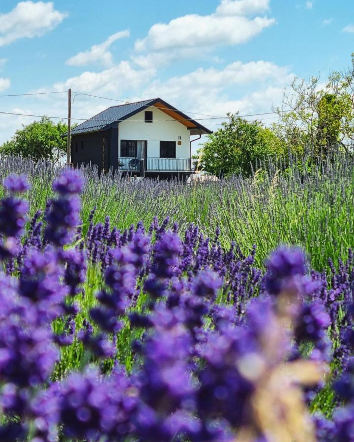 Vacation Home - Nest Kalnik ภายนอก รูปภาพ
