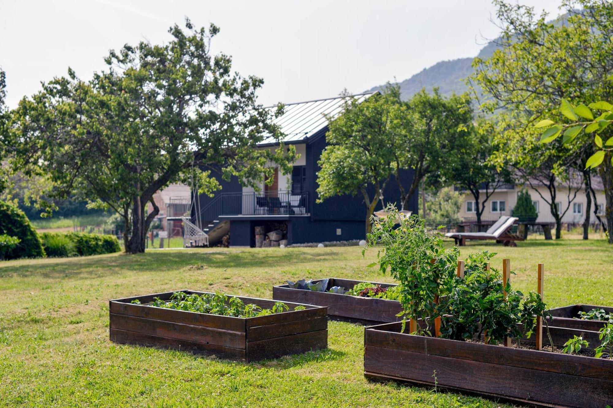 Vacation Home - Nest Kalnik ภายนอก รูปภาพ