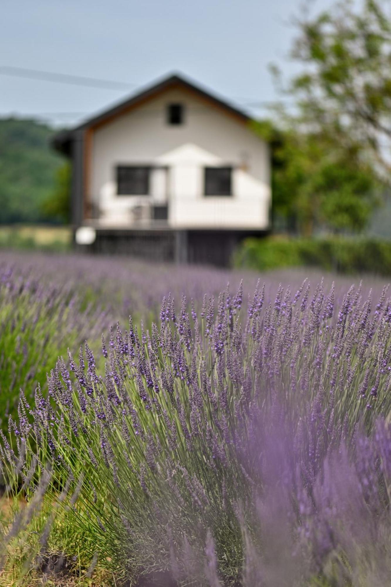 Vacation Home - Nest Kalnik ภายนอก รูปภาพ